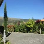 Ponte De Lima - Vivenda Olival - Piscine Privée Entre Et Montagne