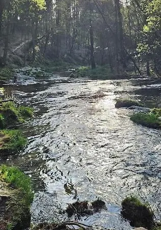 Ponte De Lima - Olival - Au Calme, Climatisee Et Chauffee - Piscine Privee Entre Et Montagne *
