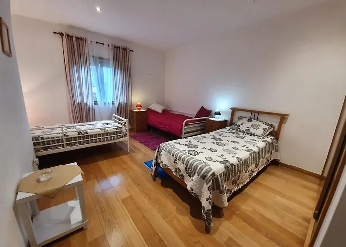 Ponte De Lima - Olival - Au Calme, Climatisee Et Chauffee - Piscine Privee Entre Et Montagne * Canadelo (Ponte de Lima)