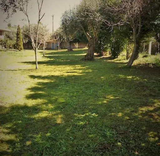 Ponte De Lima - Olival - Au Calme, Climatisee Et Chauffee - Piscine Privee Entre Et Montagne Vila Canadelo (Ponte de Lima)
