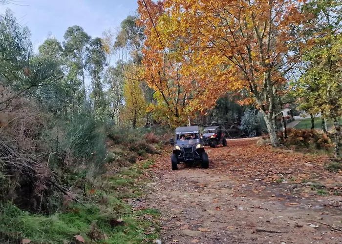 Ponte De Lima - Olival - Au Calme, Climatisee Et Chauffee - Piscine Privee Entre Et Montagne * Canadelo (Ponte de Lima)